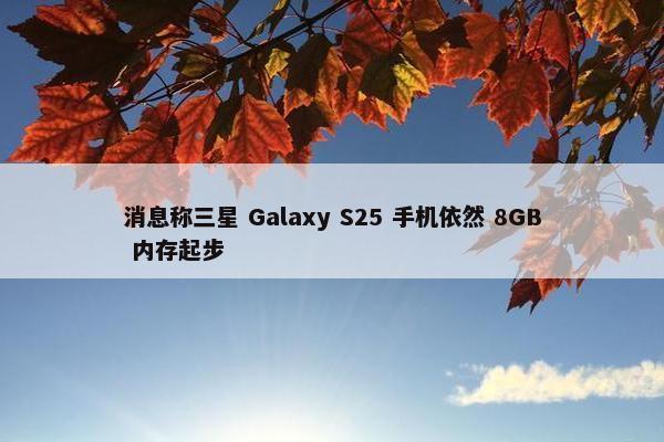 消息称三星 Galaxy S25 手机依然 8GB 内存起步